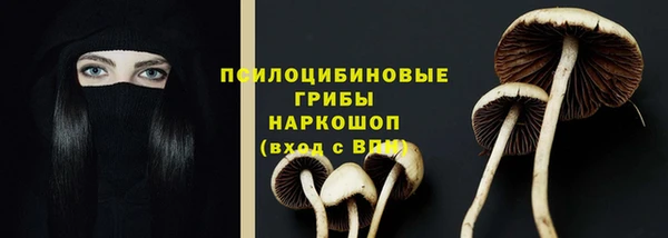 герыч Куйбышев