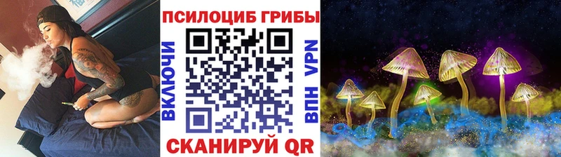 купить наркоту Моршанск Псилоцибиновые грибы MAGIC MUSHROOMS